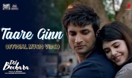 Taare Ginn Lyrics Dil Bechara