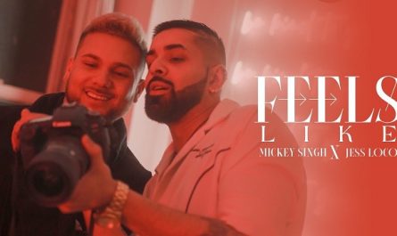 Mickey Singh & Jess Loco - Feels Like Lyrics