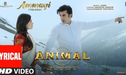 Animal - Ammayi Lyrics {English} Meaning