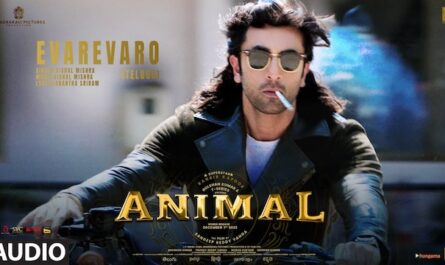 Vishal Mishra - Animal: Evarevaro Lyrics In English (Meaning)