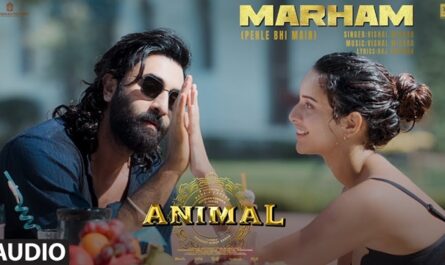 Vishal Mishra - Animal: Marham (Pehle Bhi Main) Lyrics Meaning