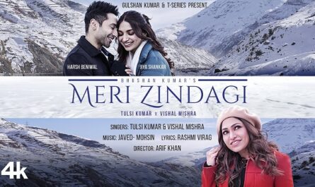 Tulsi Kumar - Meri Zindagi Lyrics In English (Translation)