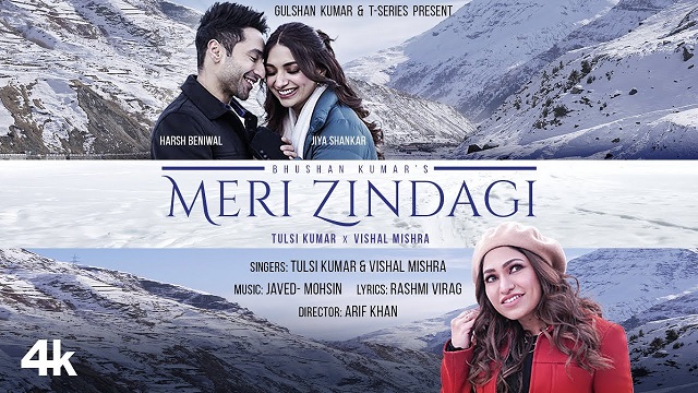 Tulsi Kumar – Meri Zindagi Lyrics In English (Translation)