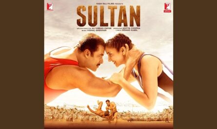 Shekhar Ravjiani - Rise of Sultan Lyrics In English (Translation)