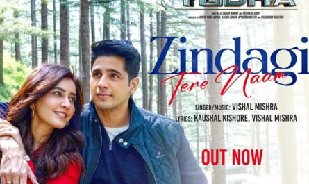 Vishal Mishra - Yodha: Zindagi Tere Naam Lyrics In English (Translation)