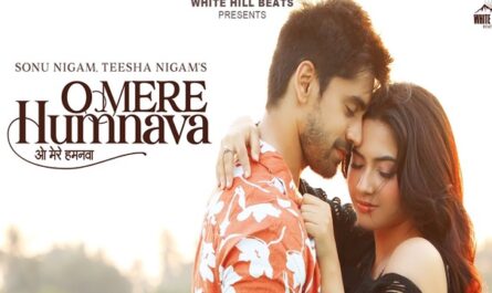 O Mere Humnava Lyrics (English Translation) - Sonu Nigam