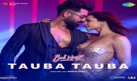 Husn Tera Tauba Tauba Lyrics In English (Meaning) - Bad Newz