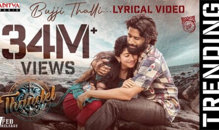 Javed Ali - Bujji Thalli Song Lyrics in English (Translation) (from Thandel)