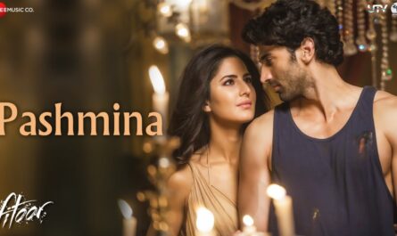 Amit Trivedi - Pashmina Lyrics (Fitoor) In English (Translation)