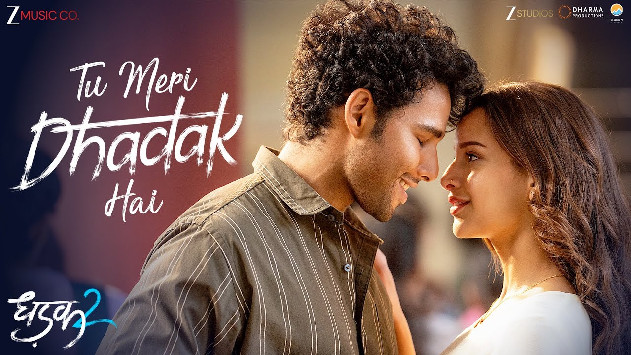 Vishal Mishra – Dhadak 2: Tu Meri Dhadak Hai Lyrics In English (with Meaning) cover image